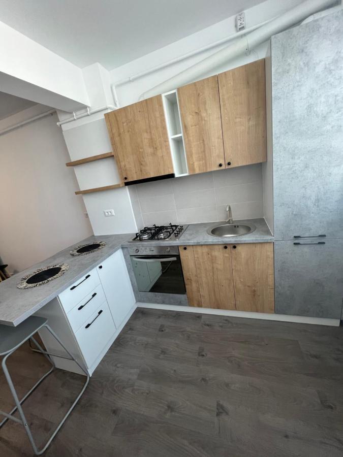 Sunny Apartments Suceava 64 Екстериор снимка
