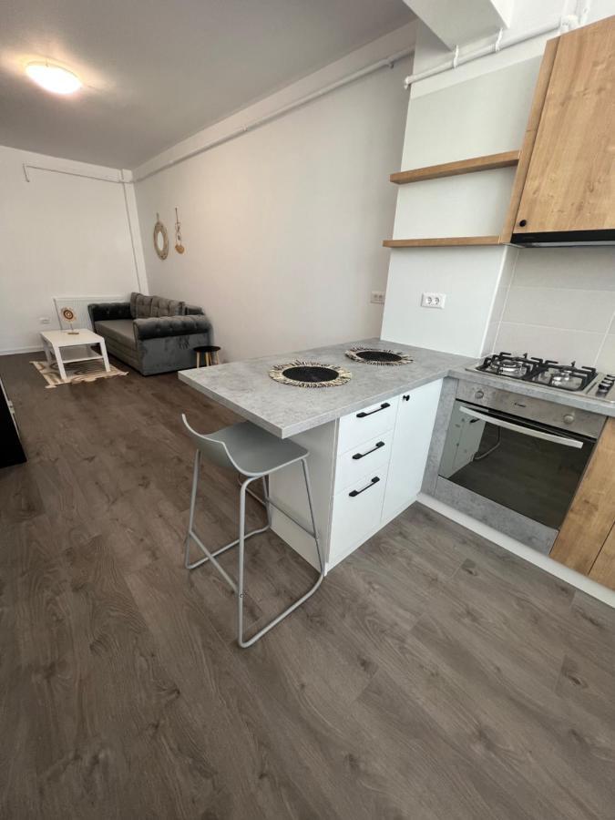 Sunny Apartments Suceava 64 Екстериор снимка